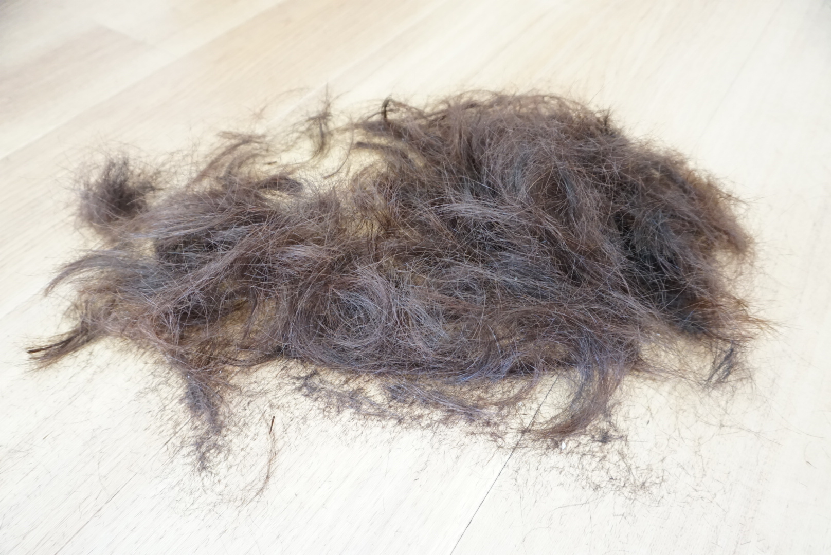 床に落ちた切った髪の毛