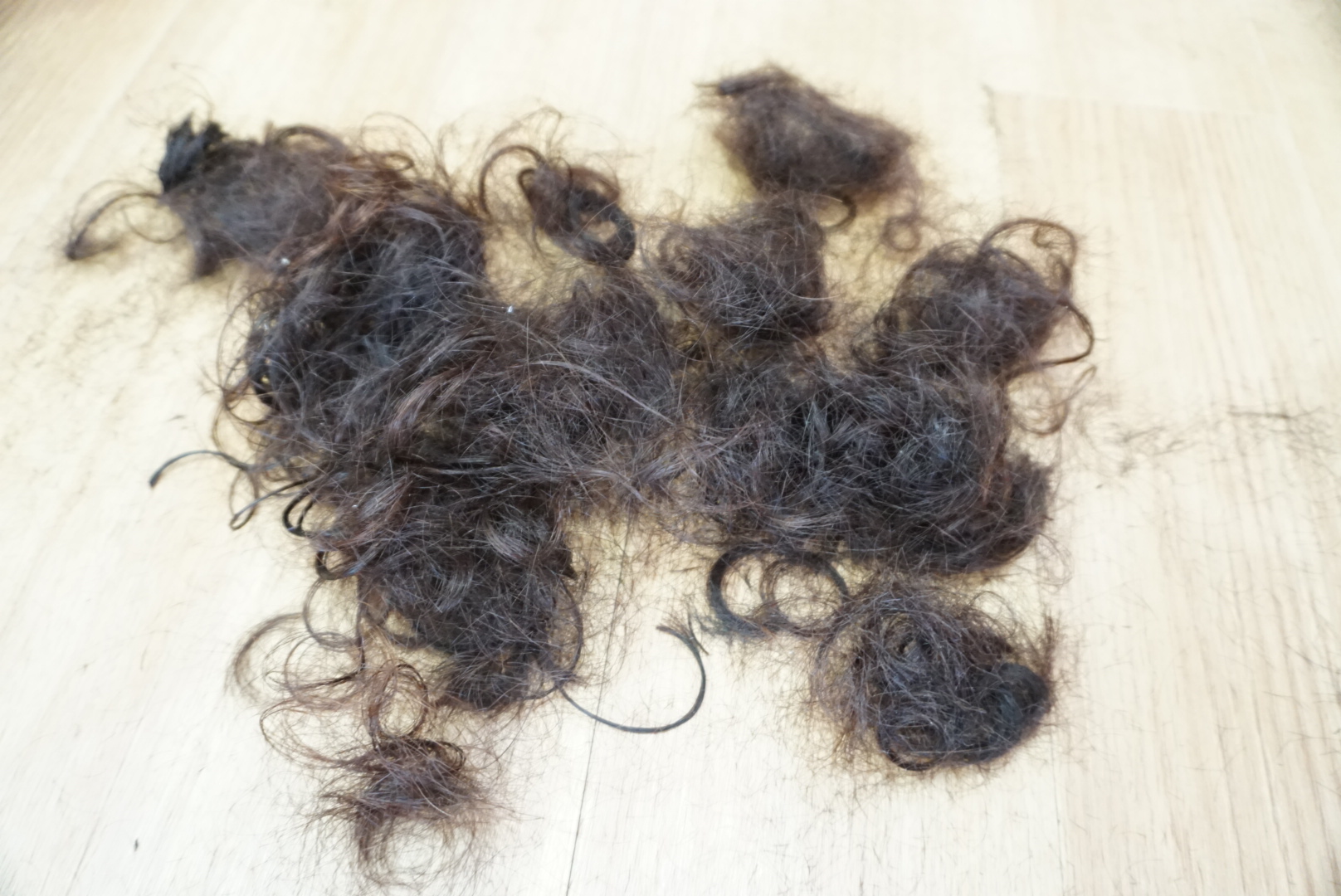 床に落ちた大量の髪の毛