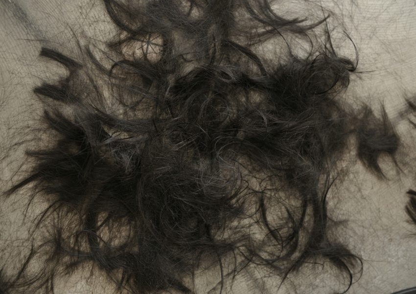 髪をバッサリ切った女子は本当に失恋したのか美容師が調査してみた O I K くせ毛カット専門美容室
