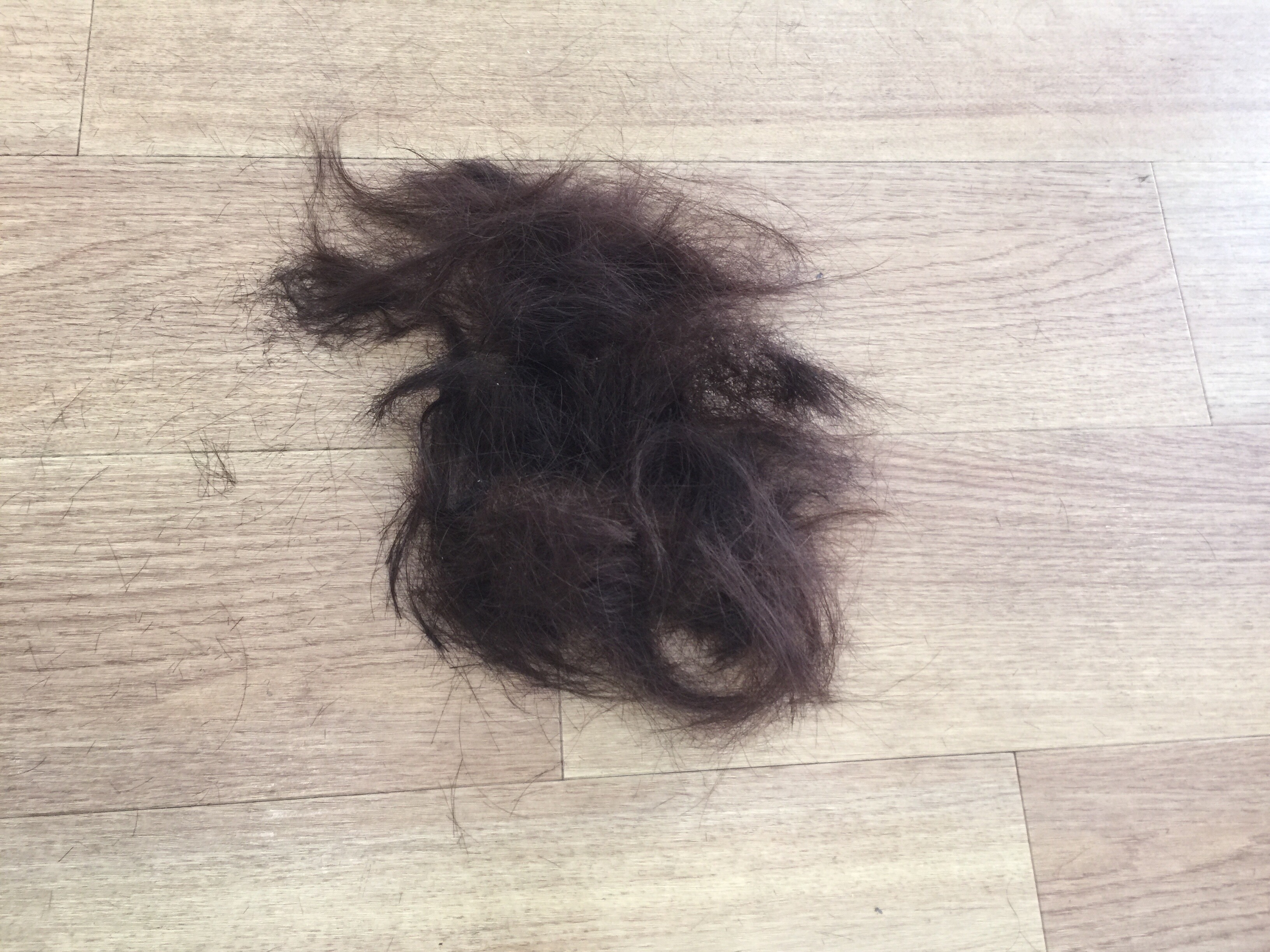 床に落ちた髪の毛