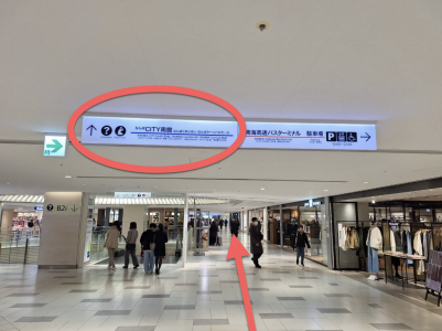 スクリーンショット 2026-01-29 0.32.18